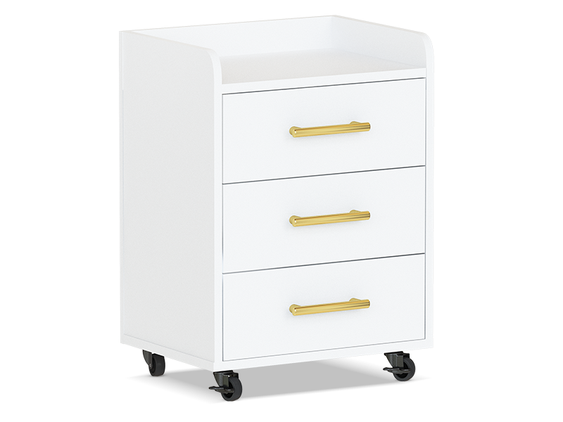 AWQM Mobile File Cabinet, 2 Lockable Rollers, File Storage Cabinet for Home Office