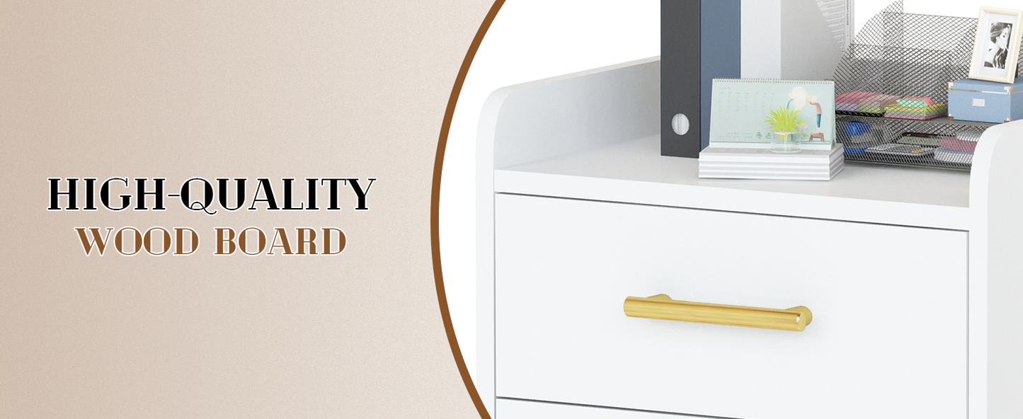 AWQM Mobile File Cabinet, 2 Lockable Rollers, File Storage Cabinet for Home Office